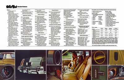 1974 Chevrolet Monte Carlo-10-11.jpg